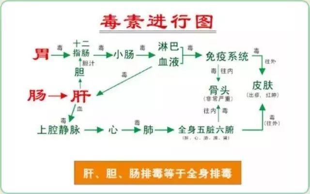 美容师必知的肝胆排毒原理(lǐ)与话术！