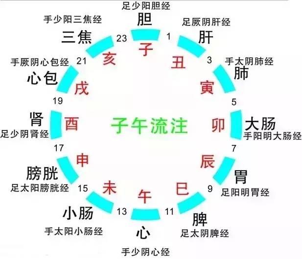 人體(tǐ)最佳的洗澡、睡觉、吃水果、美容...时间，太全了