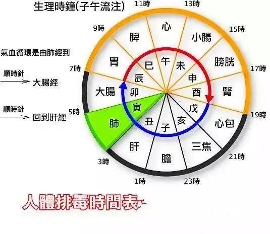 美容师必知的肝胆排毒原理(lǐ)与话术！